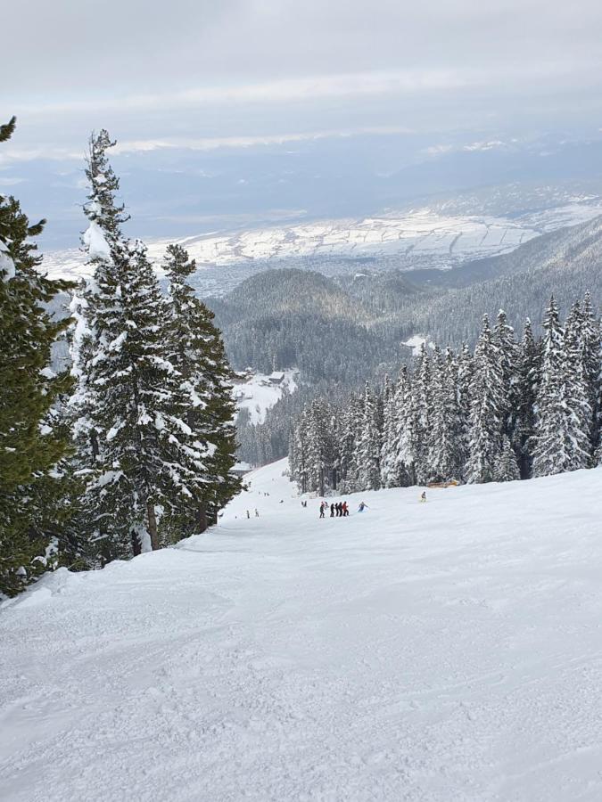 Spacious And Cosy Apartment In Bansko Royal Towers Complex 외부 사진